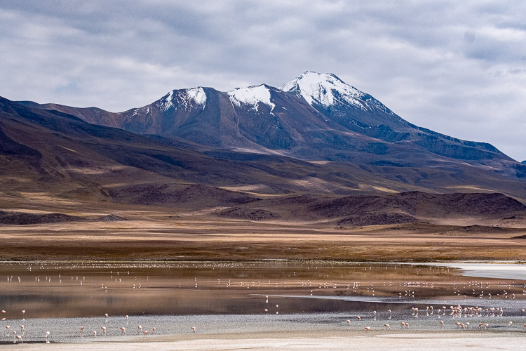 Bolivia Altiplano